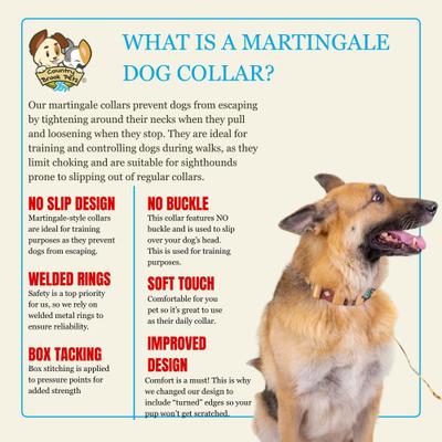 Show full view: Country Brook Petz HossFit Jr Native Arizona Wide Martingale Dog Collar, Large slide 9 of 10