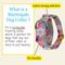 Show in main carousel: Country Brook Petz HossFit Jr May Flowers Wide Martingale Dog Collar, Medium slide 6 of 9
