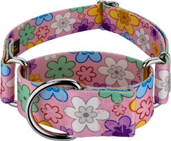 Country Brook Petz HossFit Jr May Flowers Wide Martingale Dog Collar, Medium