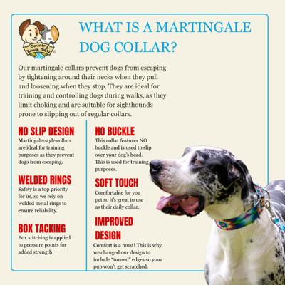 Show full view: Country Brook Petz HossFit Jr Tie Dye Flowers Wide Martingale Dog Collar, Multi-Colored, Large: 18 to 26-in neck, 1.5-in wide slide 9 of 10