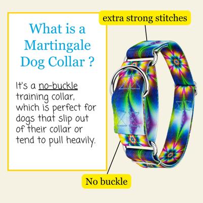 Show full view: Country Brook Petz HossFit Jr Tie Dye Flowers Wide Martingale Dog Collar, Multi-Colored, Large: 18 to 26-in neck, 1.5-in wide slide 7 of 10
