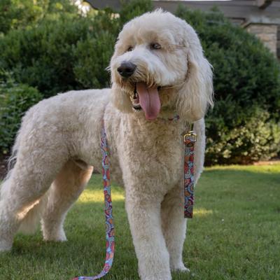 Show full view: Country Brook Petz HossFit Jr Sky Manadala Wide Martingale Dog Collar, Blue, X-Large: 23 to 31-in neck, 1.5-in wide slide 3 of 9