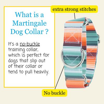 Show full view: Country Brook Petz HossFit Jr Sedona Stripes Wide Martingale Dog Collar, Multi-Colored, Medium: 15 to 21-in neck, 1.5-in wide slide 3 of 8