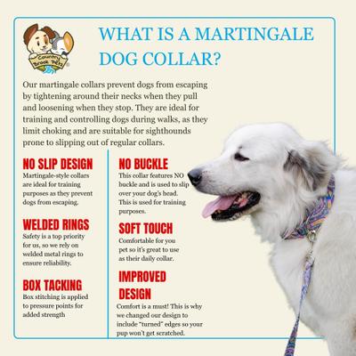 Show full view: Country Brook Petz HossFit Jr Boho Mandala Wide Martingale Dog Collar, Blue, Large: 18 to 26-in neck, 1.5-in wide slide 7 of 9