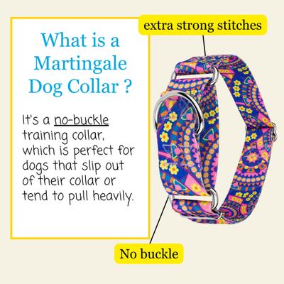 Show full view: Country Brook Petz HossFit Jr Boho Mandala Wide Martingale Dog Collar, Blue, Large: 18 to 26-in neck, 1.5-in wide slide 5 of 9