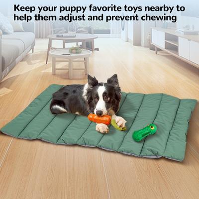 Show full view: Heeyoo Outdoor Foldable Dog Bed, Green, Medium slide 6 of 7