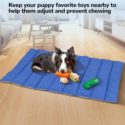 Show full view: Heeyoo Outdoor Foldable Dog Bed, Dark Blue, Large slide 6 of 7