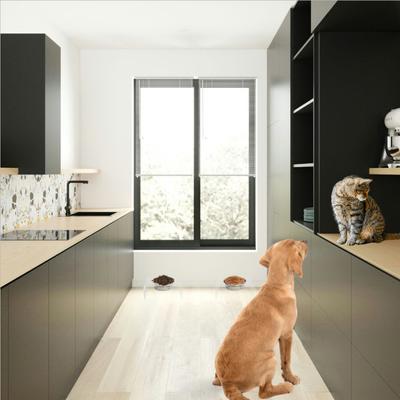 Show full view: Hiddin Clear Single Elevated Dog & Cat Feeder, Silver, 6.5-cup slide 2 of 8