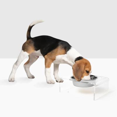 Show full view: Hiddin Clear Single Elevated Dog & Cat Feeder, Silver, 6.5-cup slide 4 of 8