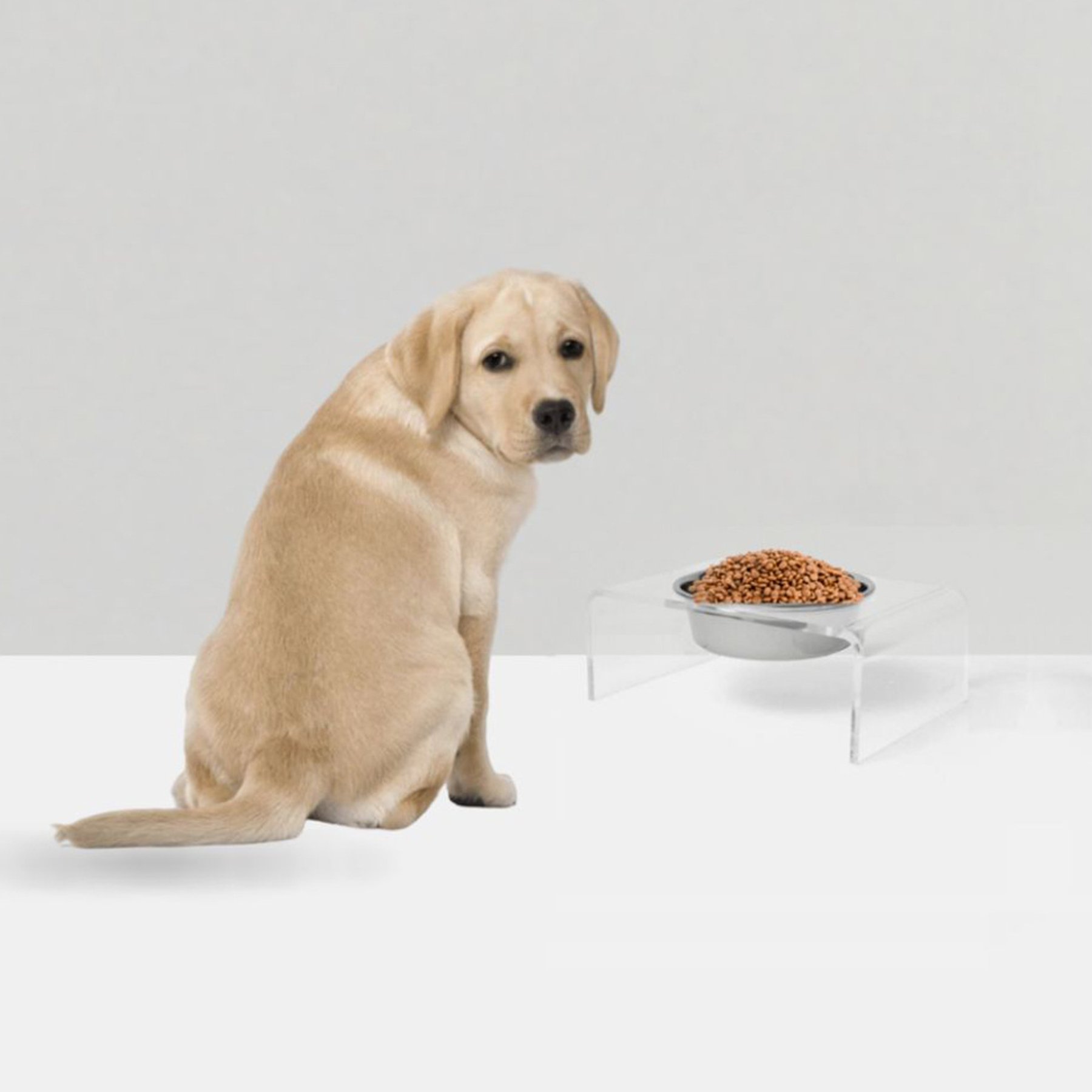 Hiddin Clear Single Elevated Dog & Cat Feeder, Silver, 6.5-cup