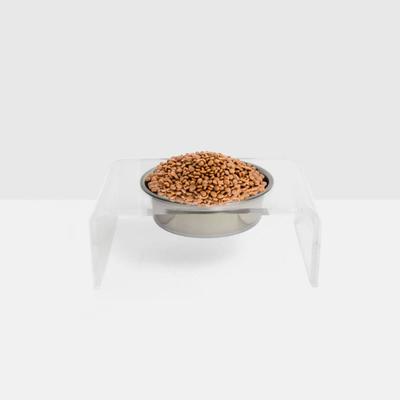 Show full view: Hiddin Clear Single Elevated Dog & Cat Feeder, Silver, 6.5-cup slide 7 of 8