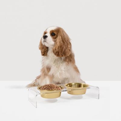 Show full view: Hiddin Small Clear Double Dog Bowl, Gold, 1.5-cup slide 5 of 8