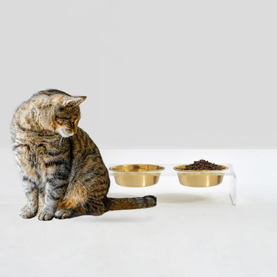 Show full view: Hiddin Small Clear Double Dog Bowl, Gold, 1.5-cup slide 6 of 8