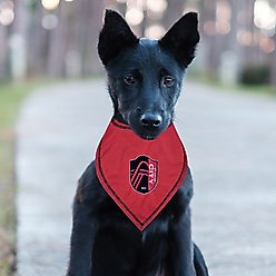 Pets First MLS Team Tie Around Dog Bandana, Small/Medium, St. Louis SC slide 2 of 5