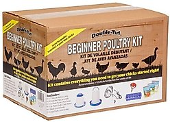 Little Giant Double-Tuf Chicken & Poultry Starter Kit