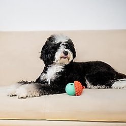 Critta Fitta Interactive Treat Dispenser Dog Toy, Red + Teal slide 2 of 6