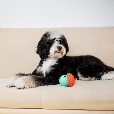 Show full view: Critta Fitta Interactive Treat Dispenser Dog Toy, Red + Teal slide 6 of 7