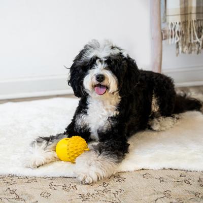 Show full view: Critta Fitta Interactive Treat Dispenser Dog Toy, Yellow slide 6 of 7