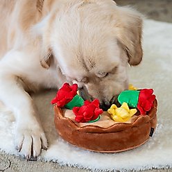 Critta Fitta Interactive Hide & Seek Tulips Squeaky Plush Dog Toy slide 2 of 7