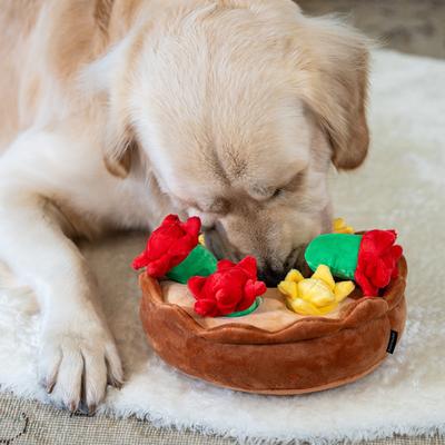 Show full view: Critta Fitta Interactive Hide & Seek Tulips Squeaky Plush Dog Toy slide 7 of 7