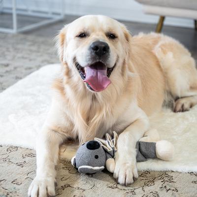 Show full view: Critta Fitta Interactive Koala Plush Dog Toy slide 6 of 7