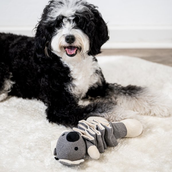 Show full view: Critta Fitta Interactive Koala Plush Dog Toy slide 4 of 6