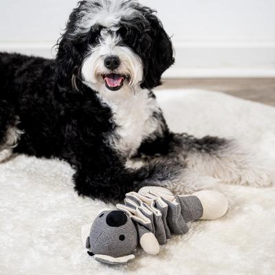 Show full view: Critta Fitta Interactive Koala Plush Dog Toy slide 5 of 7