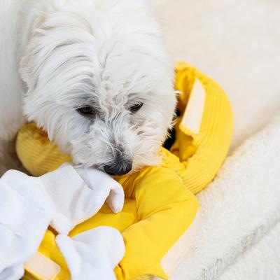 Show full view: Critta Fitta Interactive Hide & Seek Beehive Plush Dog Toy slide 6 of 7