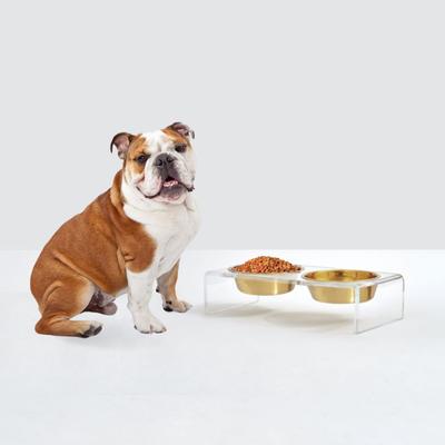 Show full view: Hiddin Small Clear Double Dog Bowl, Gold, 3.5-cup slide 5 of 7