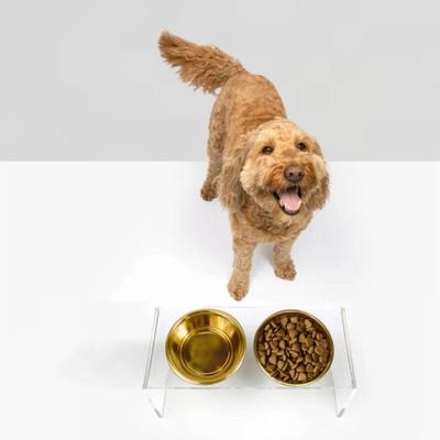 Show full view: Hiddin Medium Clear Stainless Steel Elevated Double Dog Bowl, Gold, 3.5-cup slide 5 of 8