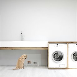 Hiddin Medium Clear Double Dog Bowl, Silver, 3.5-cup slide 2 of 8