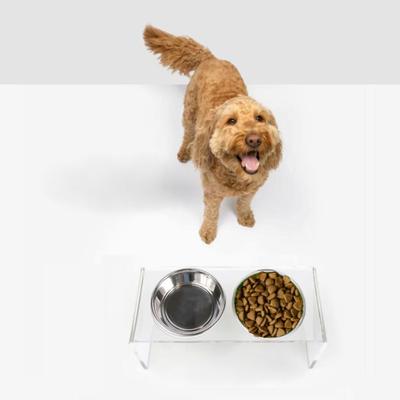 Show full view: Hiddin Medium Clear Double Dog Bowl, Silver, 3.5-cup slide 7 of 9