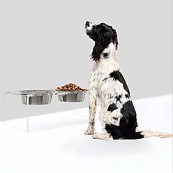 Hiddin Medium Clear Double Dog Bowl, Silver, 6.5-cup