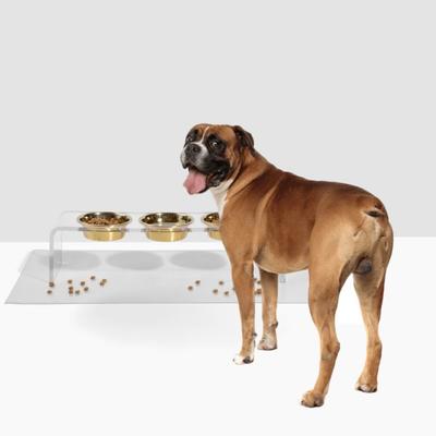 Show full view: Hiddin Medium Triple Dog Bowl, Gold, 3.5-cup slide 3 of 9