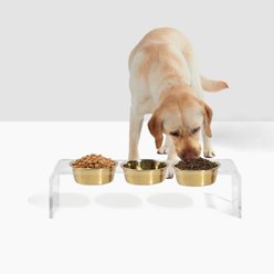 Hiddin Medium Triple Dog Bowl, Gold, 6.5-cup