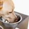Show in main carousel: Hiddin Bronze Acrylic Double Elevated Dog & Cat Bowl, Silver, 6.5-cup slide 5 of 9