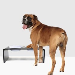 Hiddin Medium Smoke Grey Double Elevated Dog & Cat Bowl, White, 3.5-cup