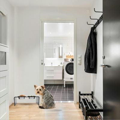 Show full view: Hiddin Medium Smoke Grey Double Elevated Dog & Cat Bowl, Silver, 3.5-cup slide 3 of 7