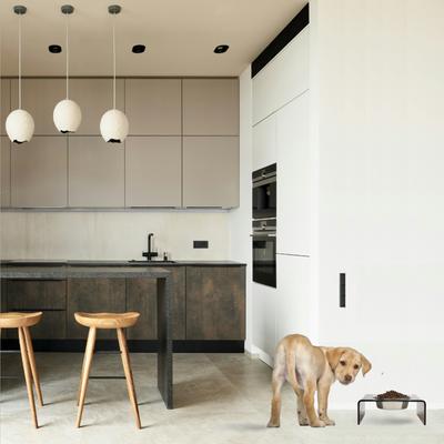 Show full view: Hiddin Bronze Single Dog & Cat Elevated Bowl, Silver, 6.5-cup slide 3 of 8