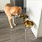 Show in main carousel: Hiddin Tall Clear Stainless Steel Elevated Double Dog Bowl, Gold, 6.5-cup slide 7 of 9
