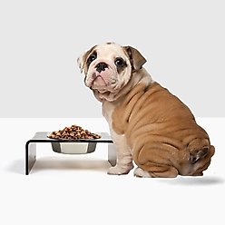 Hiddin Bronze Single Dog & Cat Elevated Bowl, Silver, 6.5-cup