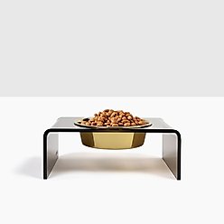 Hiddin Bronze Single Dog & Cat Elevated Bowl, Gold, 6.5-cup