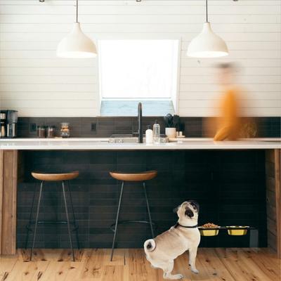 Show full view: Hiddin Medium Smoke Grey Double Elevated Dog & Cat Bowl, Gold, 3.5-cup slide 2 of 8