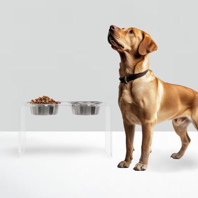 Show full view: Hiddin Tall Clear Stainless Steel Elevated Double Dog Bowl, Silver, 6.5-cup slide 6 of 9