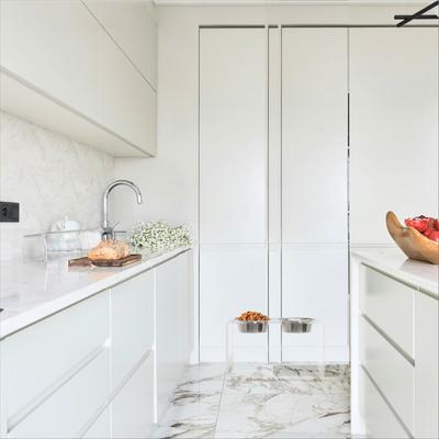 Show full view: Hiddin Tall Clear Stainless Steel Elevated Double Dog Bowl, Silver, 6.5-cup slide 2 of 9