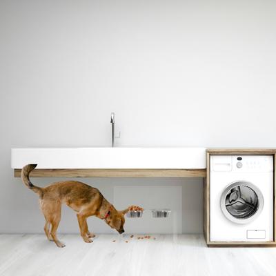 Show full view: Hiddin Tall Clear Stainless Steel Elevated Double Dog Bowl, Silver, 6.5-cup slide 5 of 9