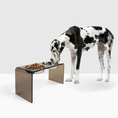 Show full view: Hiddin Bronze Acrylic Double Elevated Dog & Cat Bowl, Silver, 6.5-cup slide 3 of 9