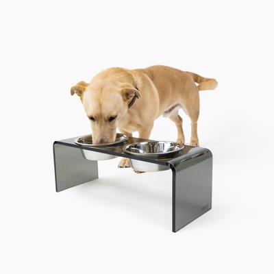 Show full view: Hiddin Medium Smoke Grey Double Elevated Dog & Cat Bowl, Silver, 3.5-cup slide 5 of 7