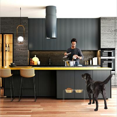 Show full view: Hiddin Tall Clear Stainless Steel Elevated Double Dog Bowl, Gold, 6.5-cup slide 3 of 9