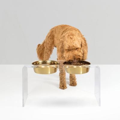 Show full view: Hiddin Tall Clear Stainless Steel Elevated Double Dog Bowl, Gold, 6.5-cup slide 5 of 9